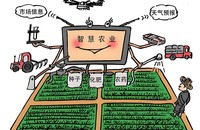 文章配图
